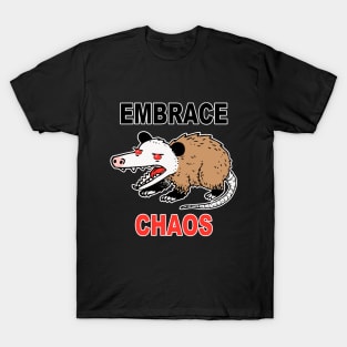 Embrace Chaos T-Shirt